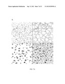 Polyconjugates for In Vivo Delivery of Polynucleotides diagram and image