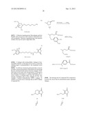 Polyconjugates for In Vivo Delivery of Polynucleotides diagram and image