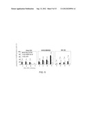 Drug Comprising As The Active Ingredient Proliferative Vector Containing     Survivin Promoter diagram and image