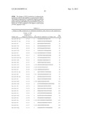 ENHANCEMENT OF PLACENTAL STEM CELL POTENCY USING MODULATORY RNA MOLECULES diagram and image