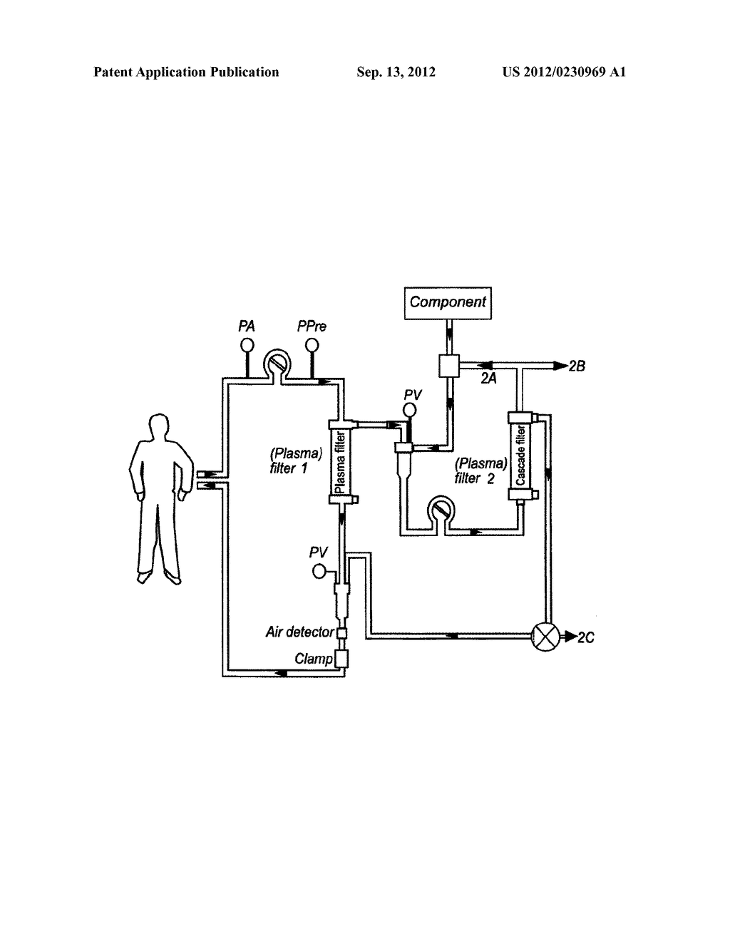 METHOD AND PRODUCT FOR BLOOD TREATMENT AND PURIFICATION - diagram, schematic, and image 02