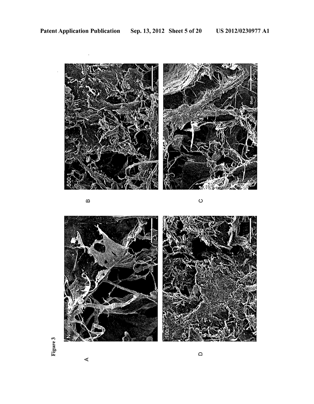 FLOWABLE COLLAGEN-BASED HEMOSTAT AND METHODS OF USE - diagram, schematic, and image 06