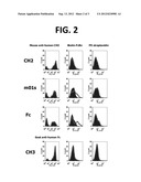 CH2 Domain Template Molecules Derived From Rational Grafting Of Donor     Loops Onto CH2 Scaffolds diagram and image