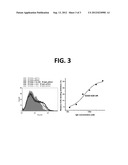 CH2 Domain Template Molecules Derived From Rational Grafting Of Donor     Loops Onto CH2 Scaffolds diagram and image