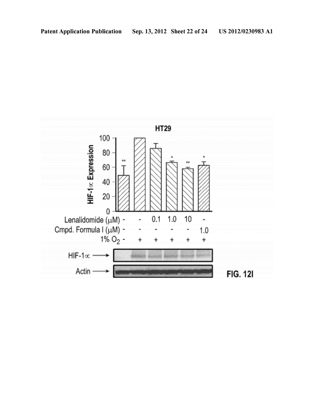 METHODS OF TREATING CANCER USING     3-(5-AMINO-2-METHYL-4-OXO-4H-QUINAZOLIN-3-YL)-PIPERIDINE-2,6-DIONE - diagram, schematic, and image 23