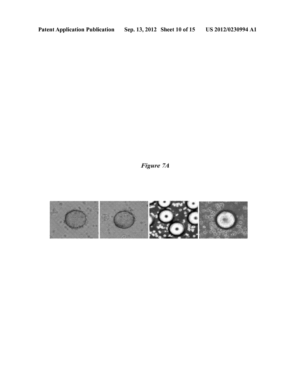 BLADDER CANCER SPECIFIC LIGAND PEPTIDES - diagram, schematic, and image 11