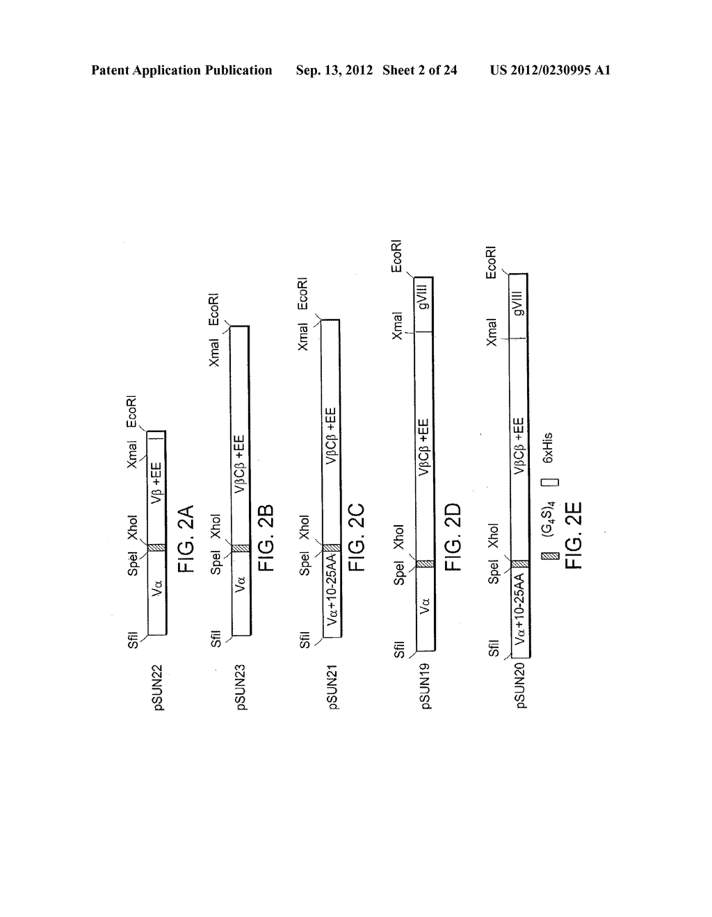 POLYSPECIFIC BINDING MOLECULES AND USES THEREOF - diagram, schematic, and image 03