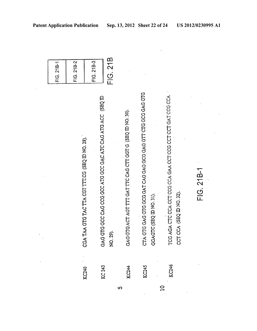 POLYSPECIFIC BINDING MOLECULES AND USES THEREOF - diagram, schematic, and image 23