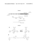 BISPECIFIC NANOBODIES AS A THERAPEUTIC FOR ALZHEIMER S DISEASE diagram and image