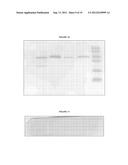 BISPECIFIC NANOBODIES AS A THERAPEUTIC FOR ALZHEIMER S DISEASE diagram and image