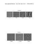 BISPECIFIC NANOBODIES AS A THERAPEUTIC FOR ALZHEIMER S DISEASE diagram and image