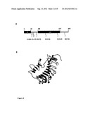 TREATMENT OF VASCULOPROLIFERATIVE CONDITIONS diagram and image