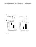 TREATMENT OF VASCULOPROLIFERATIVE CONDITIONS diagram and image