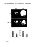 TREATMENT OF VASCULOPROLIFERATIVE CONDITIONS diagram and image