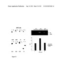 TREATMENT OF VASCULOPROLIFERATIVE CONDITIONS diagram and image