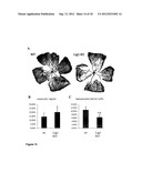 TREATMENT OF VASCULOPROLIFERATIVE CONDITIONS diagram and image