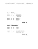 ANTIBODIES diagram and image