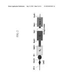 ANTIBODIES SPECIFICALLY BINDING TO THE EPIDERMAL GROWTH FACTOR RECEPTOR diagram and image