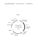 ANTIBODIES SPECIFICALLY BINDING TO THE EPIDERMAL GROWTH FACTOR RECEPTOR diagram and image