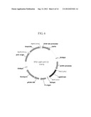 ANTIBODIES SPECIFICALLY BINDING TO THE EPIDERMAL GROWTH FACTOR RECEPTOR diagram and image