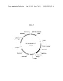 ANTIBODIES SPECIFICALLY BINDING TO THE EPIDERMAL GROWTH FACTOR RECEPTOR diagram and image