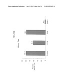 ANTIBODIES SPECIFICALLY BINDING TO THE EPIDERMAL GROWTH FACTOR RECEPTOR diagram and image