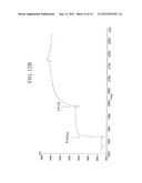 ANTIBODIES SPECIFICALLY BINDING TO THE EPIDERMAL GROWTH FACTOR RECEPTOR diagram and image