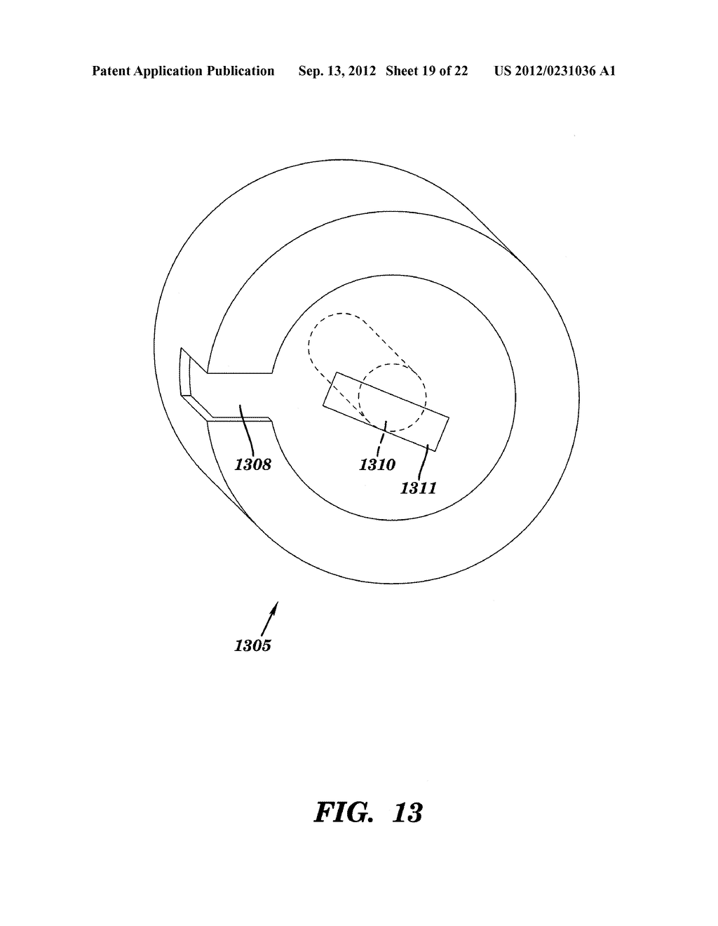 CLONED BIOLOGICAL MATERIAL MEDICAL DEVICE AND METHOD THEREOF - diagram, schematic, and image 20