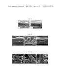 CRYSTALLINE DRUG-CONTAINING COATINGS diagram and image