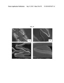 CRYSTALLINE DRUG-CONTAINING COATINGS diagram and image