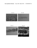 CRYSTALLINE DRUG-CONTAINING COATINGS diagram and image