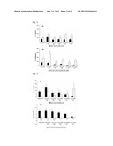 Immunomodulating Nanoparticulate Composition diagram and image