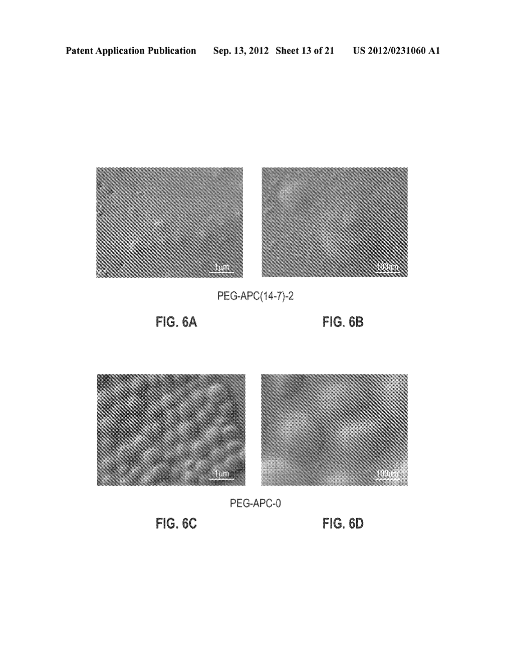 ANTIMICROBIAL HYDROGELS, METHODS OF PREPARATION THEREOF, AND ARTICLES     THEREFROM - diagram, schematic, and image 14