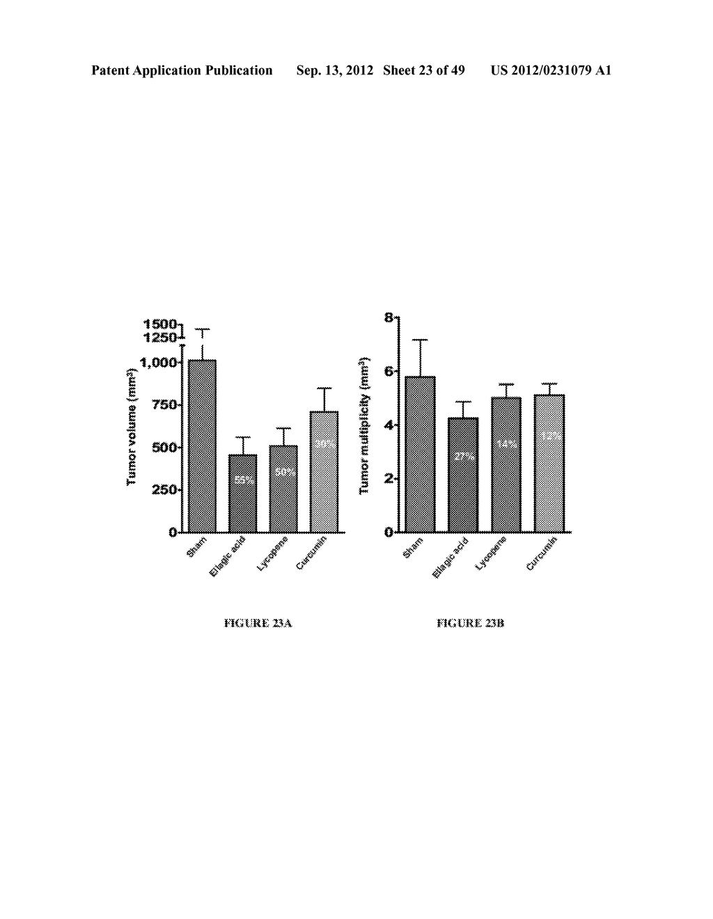 METHODS AND COMPOSITIONS FOR CONTROLLED DELIVERY OF PHYTOCHEMICAL AGENTS - diagram, schematic, and image 24