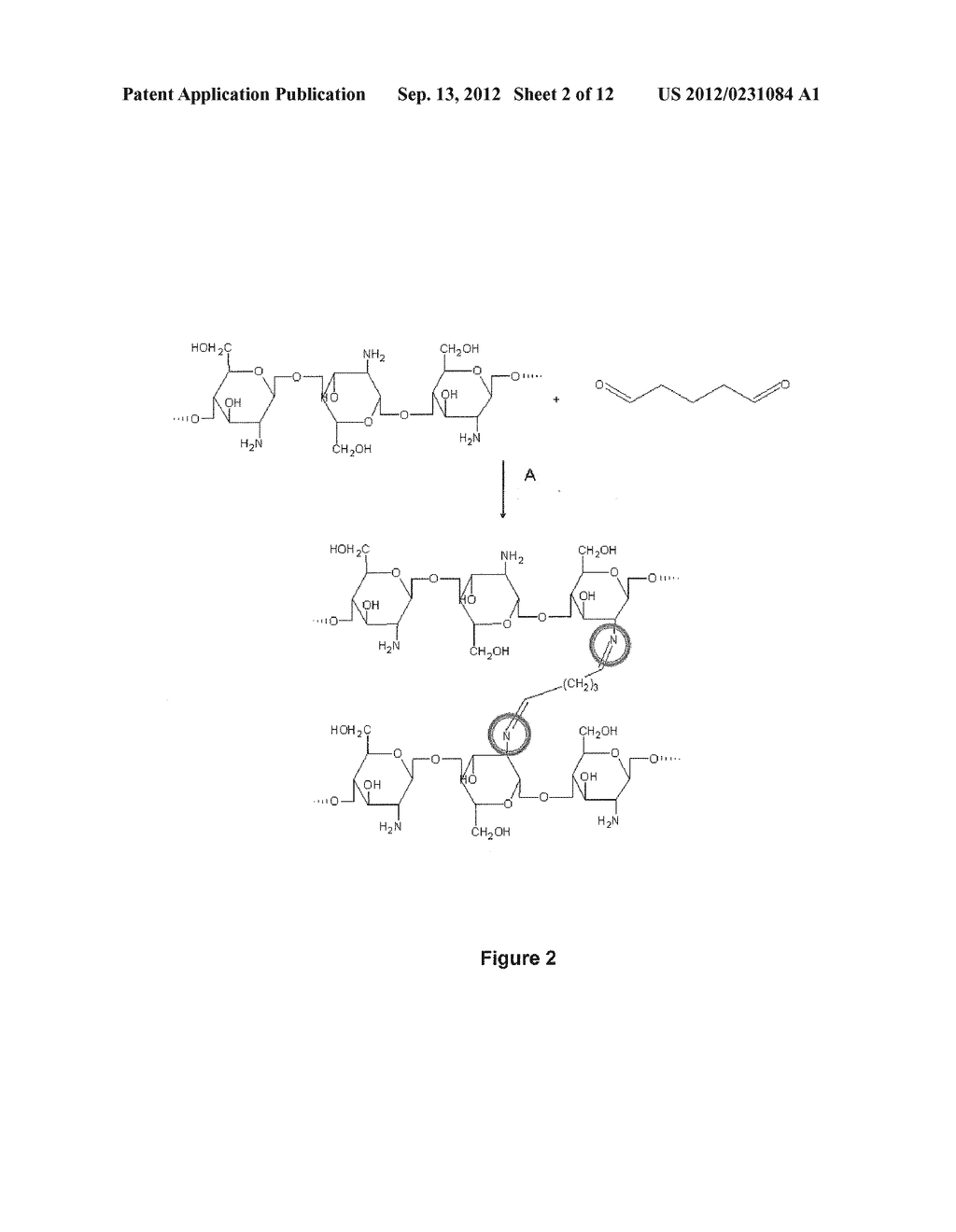 GALENIC FORM SUITABLE FOR ABSORBING, IN A SPECIFIC MANNER, THE UNDESIRABLE     MOLECULES IN THE DIGESTIVE TRACT - diagram, schematic, and image 03