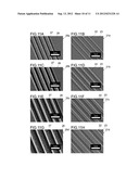 MICROSTRUCTURAL MATERIALS AND FABRICATION METHOD THEREOF diagram and image