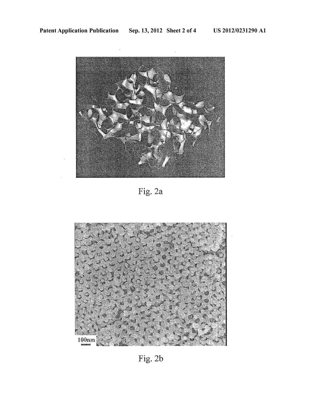 METAL NANOSTRUCTURE AND PREPARATION THEREOF - diagram, schematic, and image 03