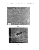 METAL NANOSTRUCTURE AND PREPARATION THEREOF diagram and image