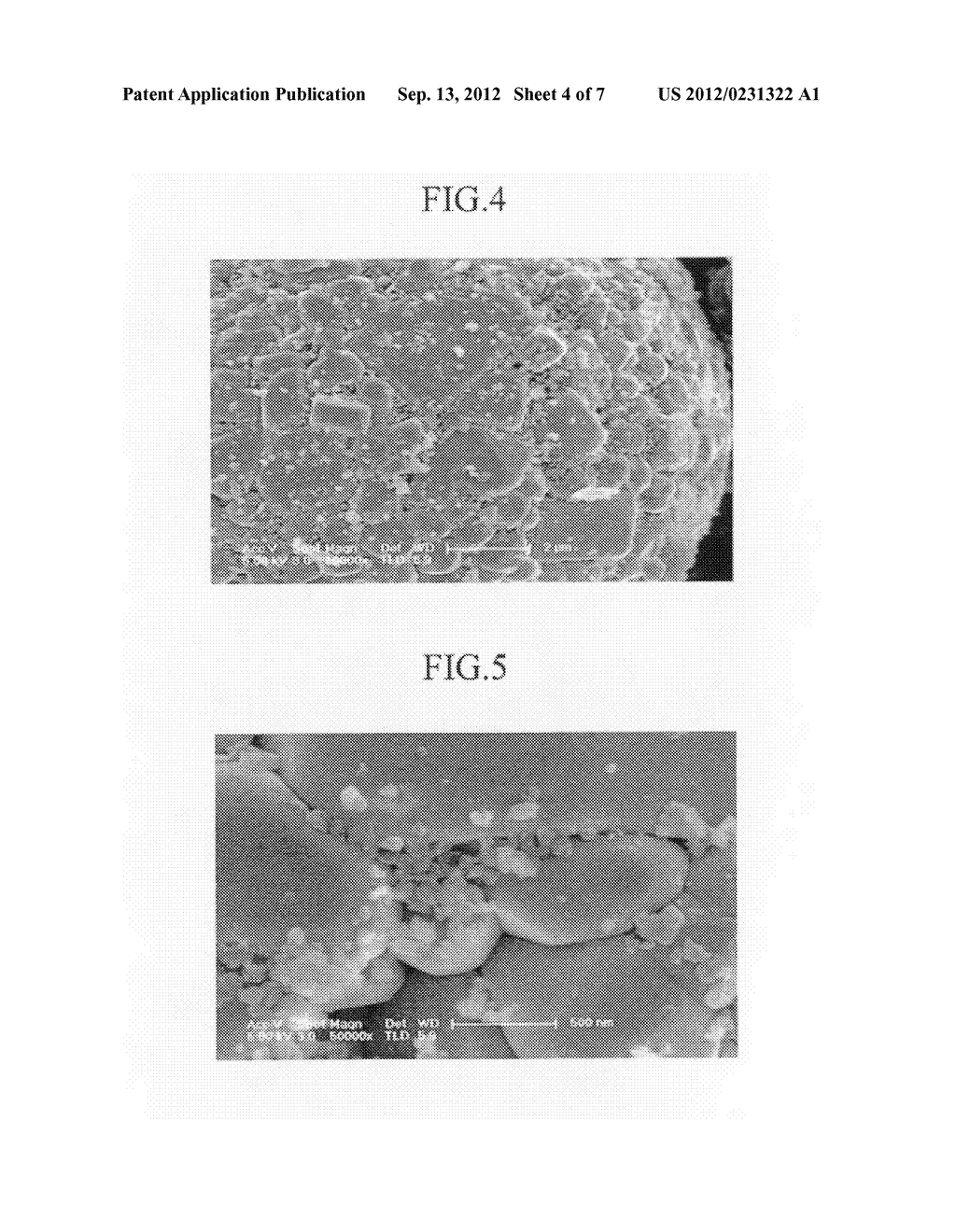 Positive active material for rechargeable lithium battery, method of     manufacturing the same and rechargeable lithium battery using the same - diagram, schematic, and image 05