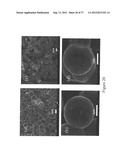 AUTOGENIC PRESSURE REACTIONS FOR BATTERY MATERIALS MANUFACTURE diagram and image