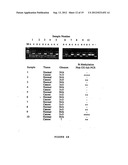 ASSAY FOR METHYLATION IN THE GST-PI GENE diagram and image