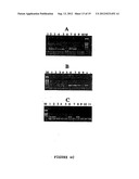 ASSAY FOR METHYLATION IN THE GST-PI GENE diagram and image