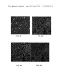 Brownian Microbarcodes for Bioassays diagram and image