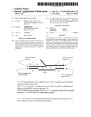 DETECTION OF NUCLEIC ACIDS diagram and image