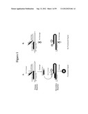 DETECTION OF NUCLEIC ACIDS diagram and image