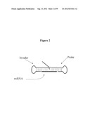 DETECTION OF NUCLEIC ACIDS diagram and image