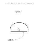 DETECTION OF NUCLEIC ACIDS diagram and image