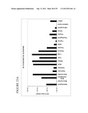 DETECTION OF NUCLEIC ACIDS diagram and image