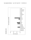 DETECTION OF NUCLEIC ACIDS diagram and image