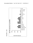 DETECTION OF NUCLEIC ACIDS diagram and image